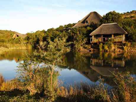 Bayethe Tented Lodge